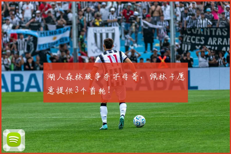 湖人森林狼争夺字母哥，佩林卡愿意提供3个首轮！