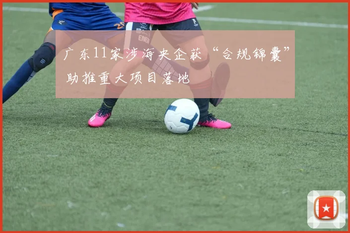 广东11家涉海央企获“合规锦囊” 助推重大项目落地